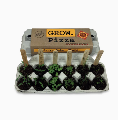 BACKYARD SAFARI COMPANY PIZZA GARDEN GROW KIT