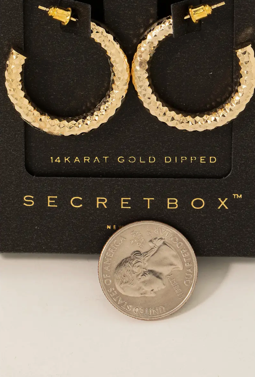 SECRET BOX TAMMY EARRINGS